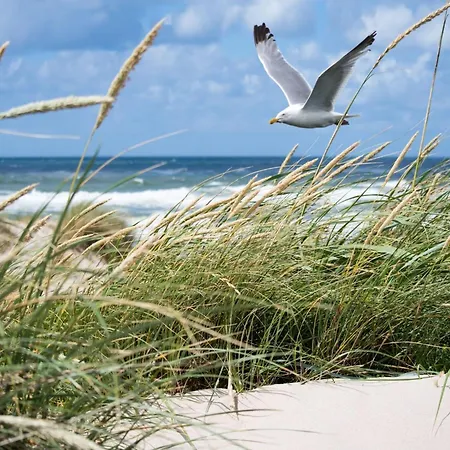 Apartament In Het Zoute With Sea Views