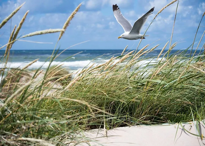 דירה In Het Zoute With Sea Views